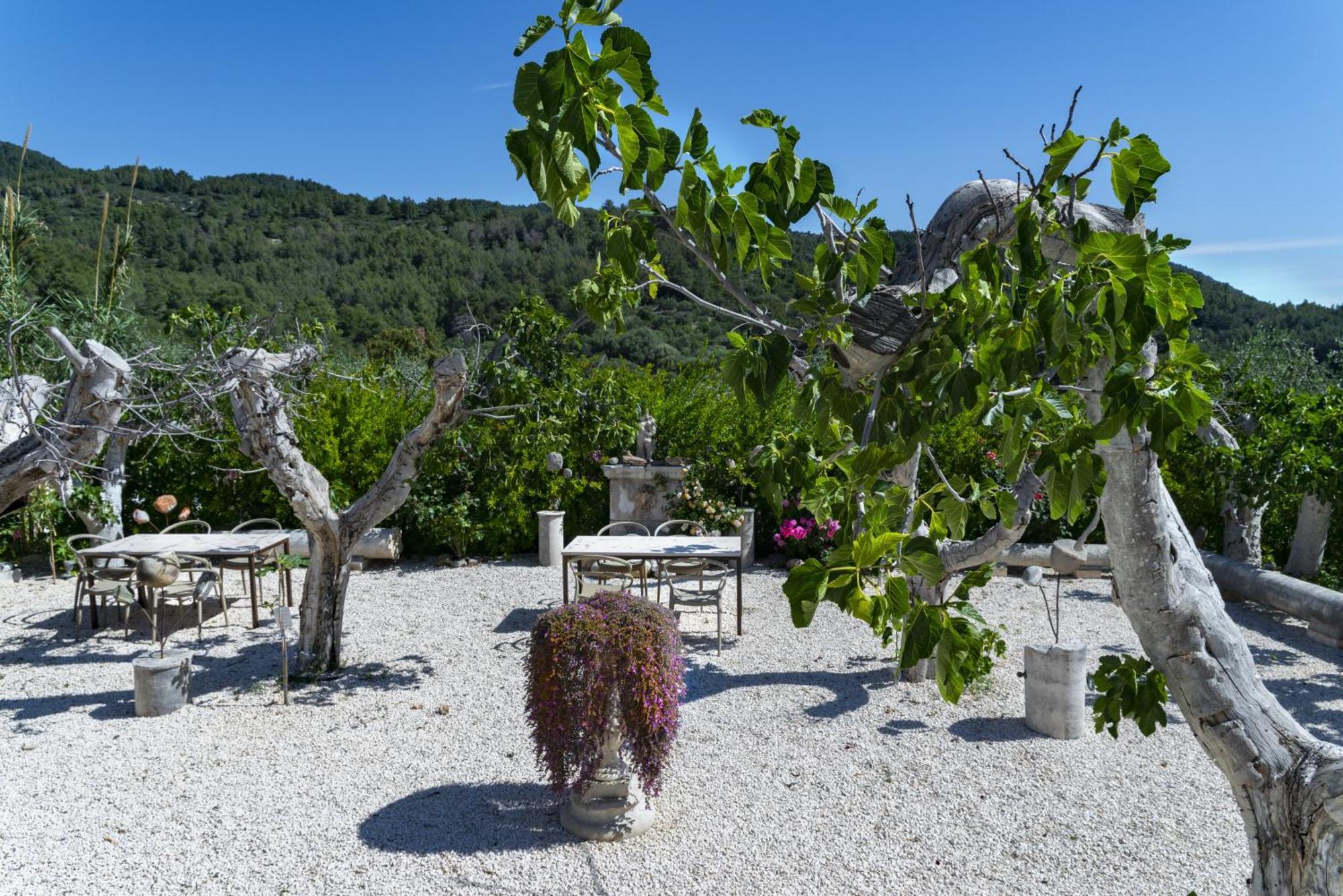 Hmo Glamping & Suites In Vignanotica Mattinata Zewnętrze zdjęcie