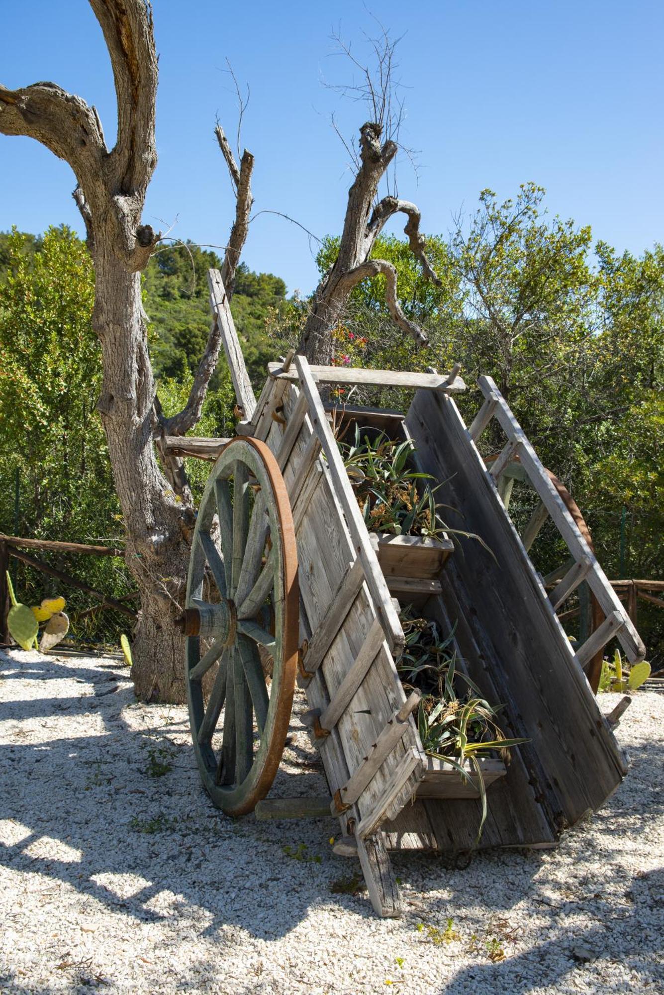 Hmo Glamping & Suites In Vignanotica Mattinata Zewnętrze zdjęcie
